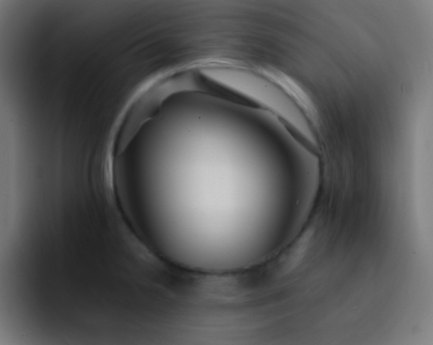 X0000093241238200710101416