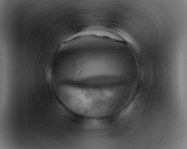 X0000093241241200710101416