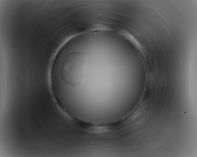 X0000093241243200710101416