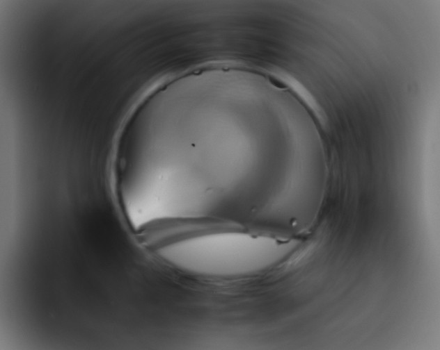 X0000093241245200710101416