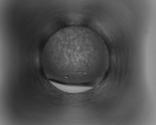 X0000093241250200710101415