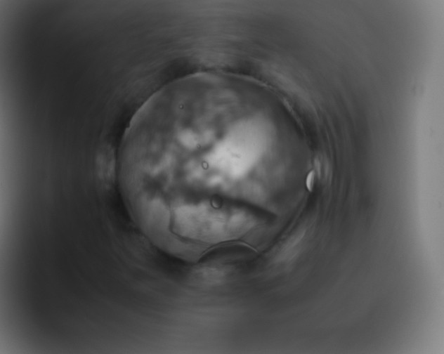 X0000093241251200710101415
