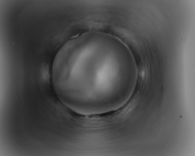 X0000093241252200710101415
