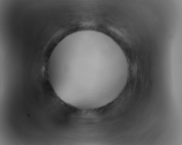 X0000093241254200710101415