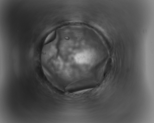 X0000093241255200710101415