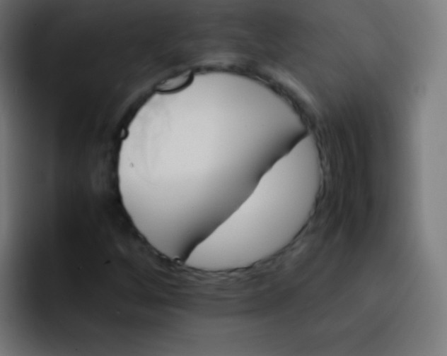 X0000093241256200710101415