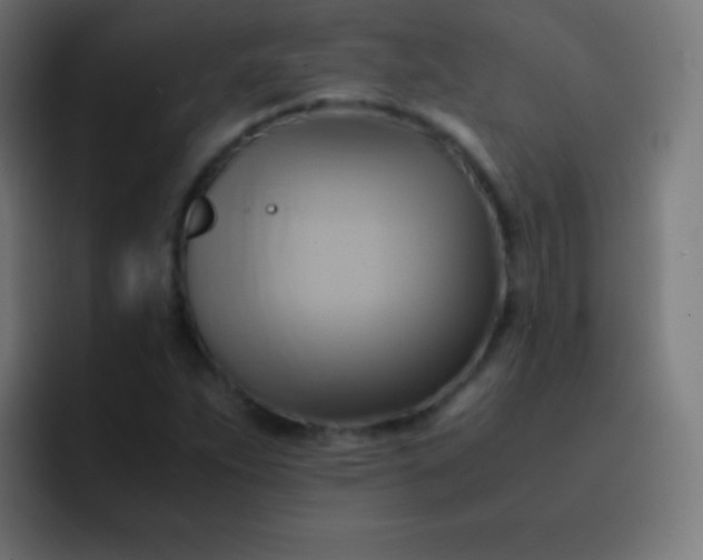 X0000093241263200710101415