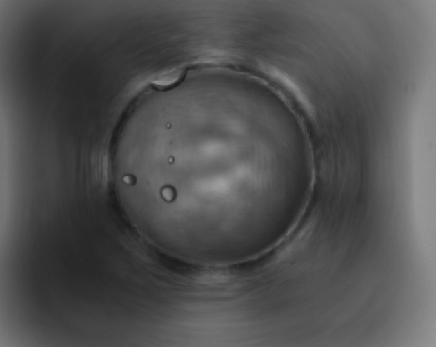 X0000093241267200710101415