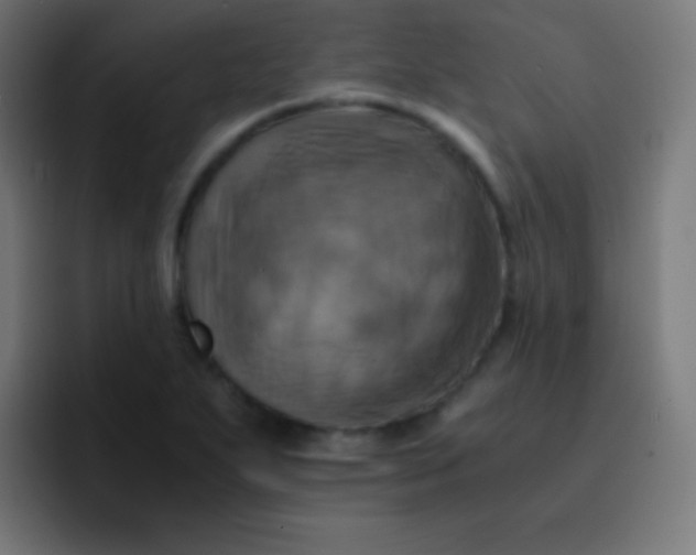 X0000093241271200710101415