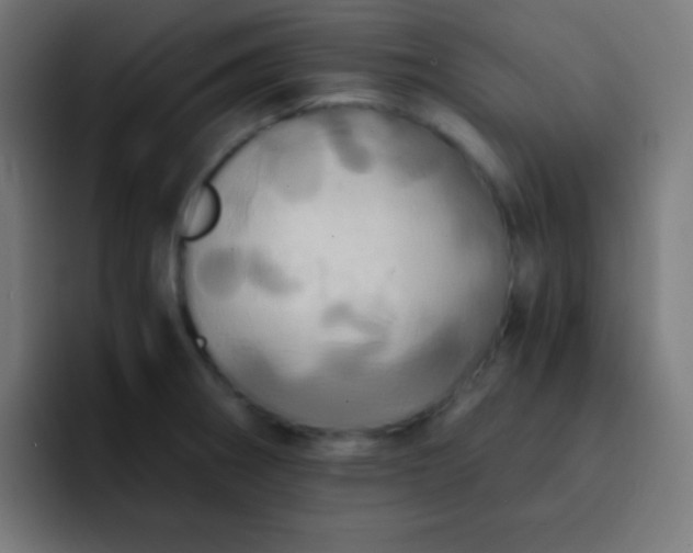 X0000093241282200710101415