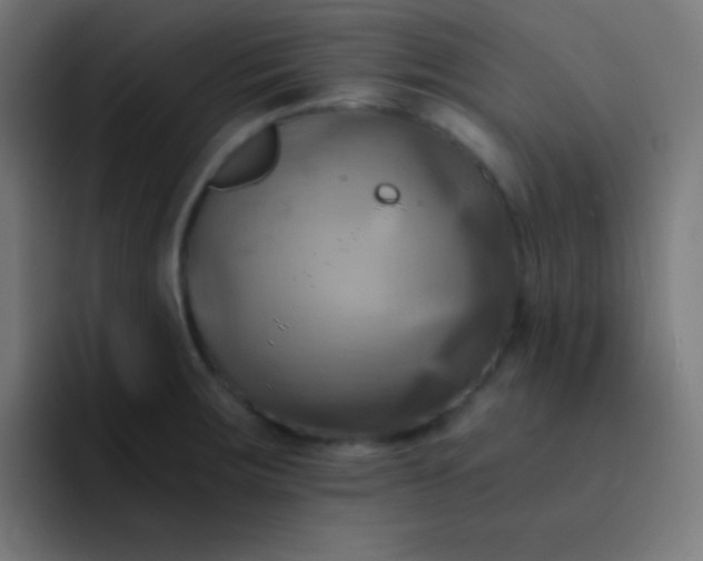 X0000093241283200710101415