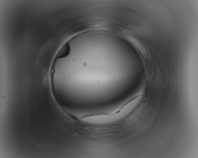 X0000093241291200710101415