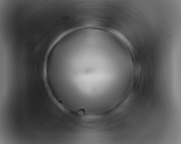 X0000093241294200710101415