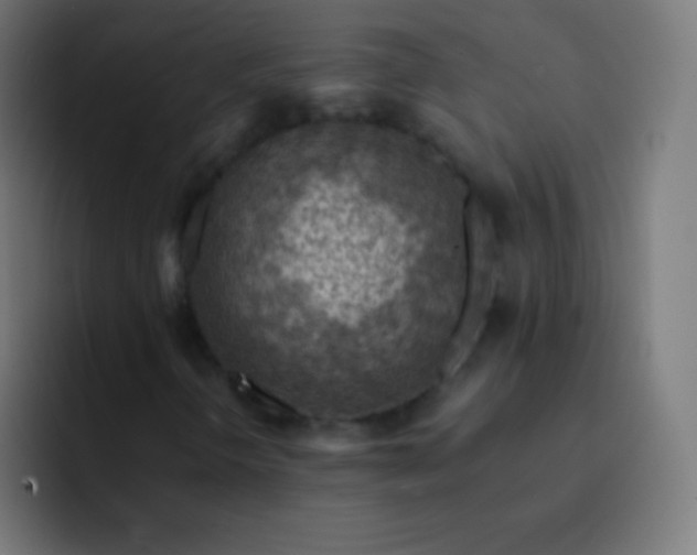 X0000093241298200710101414