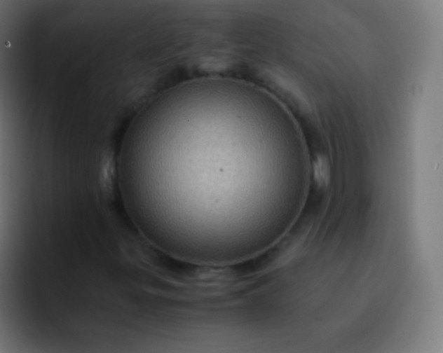X0000093241299200710101414