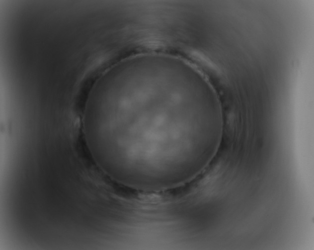 X0000093241302200710101414