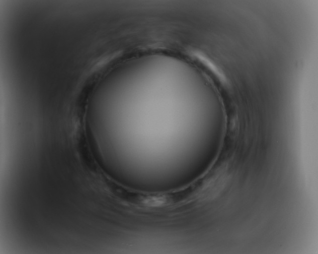 X0000093241303200710101414