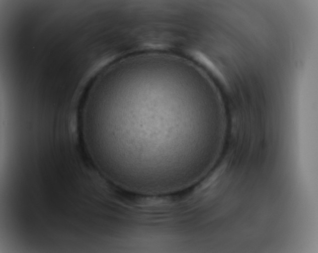 X0000093241307200710101414