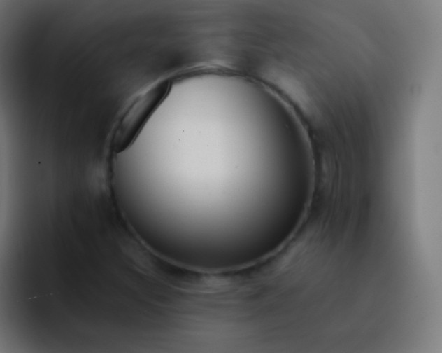 X0000093241308200710101414