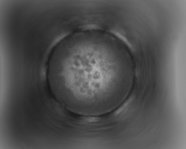 X0000093241309200710101414