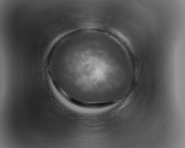 X0000093241310200710101414