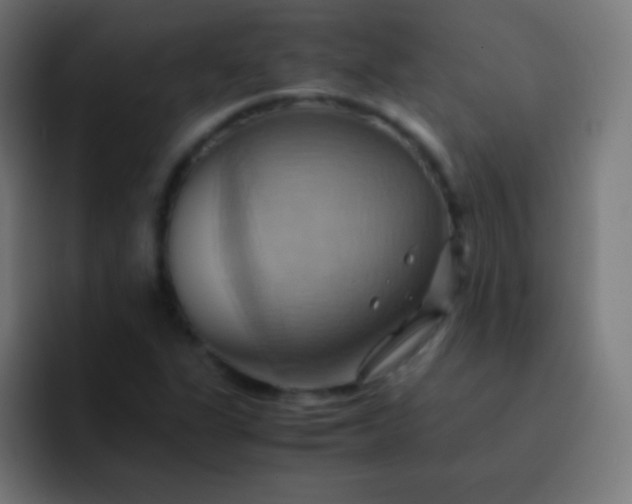 X0000093241311200710101414