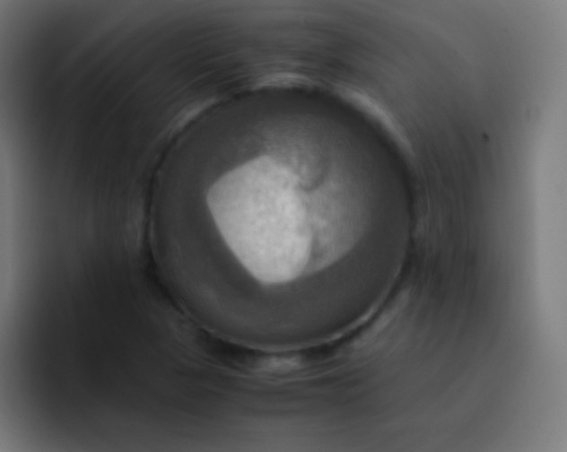 X0000093241313200710101415