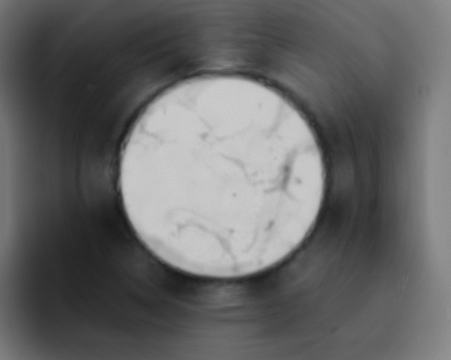 X0000093241314200710101415