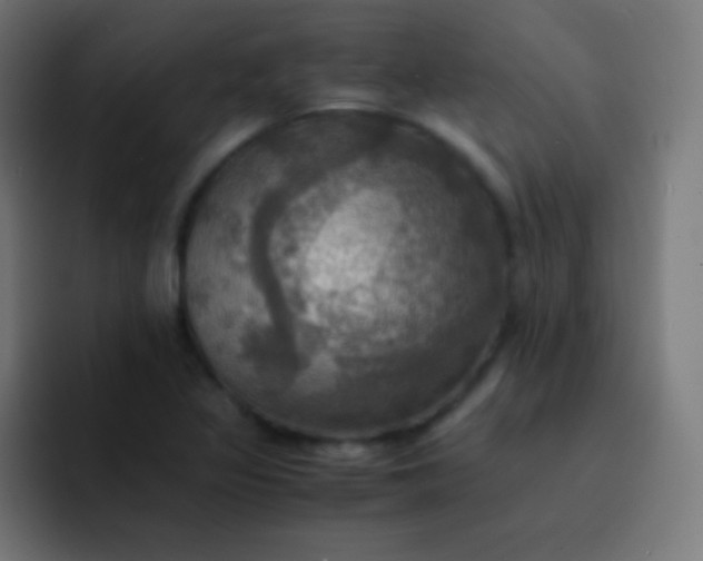 X0000093241317200710101415