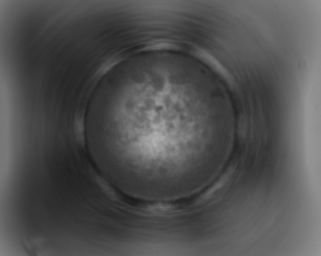 X0000093241321200710101415