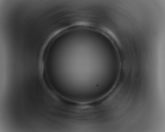 X0000093241323200710101415