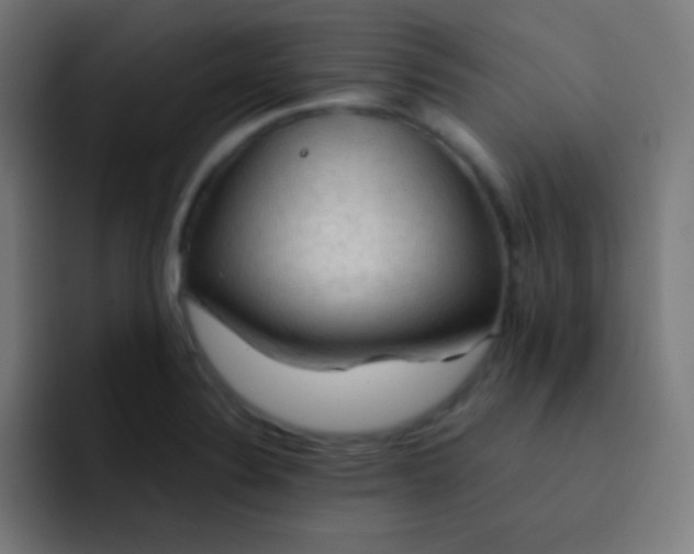 X0000093241324200710101415