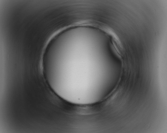 X0000093241328200710101415