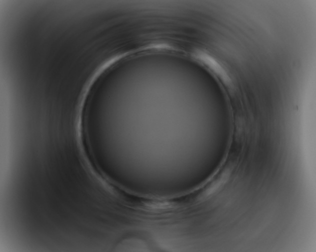X0000093241331200710101415