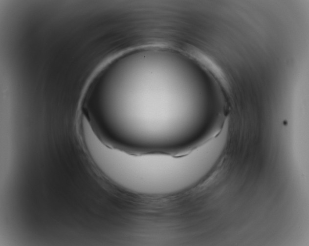 X0000093241332200710101415