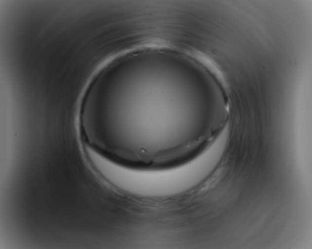 X0000093241334200710101415