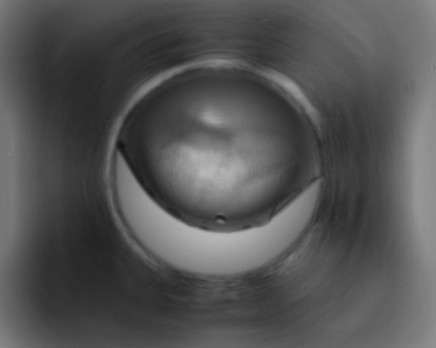 X0000093241335200710101415