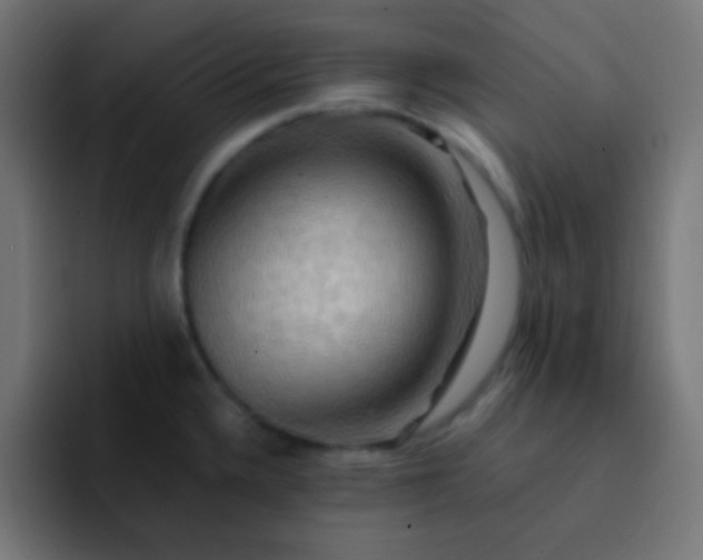 X0000093241336200710101415