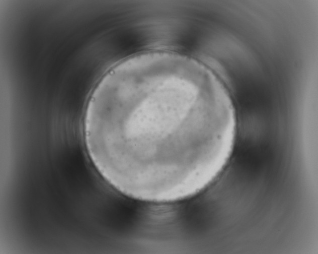 X0000093241338200710101415
