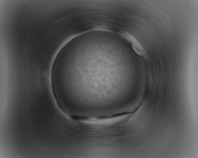 X0000093241339200710101415
