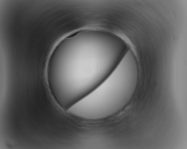 X0000093241344200710101415
