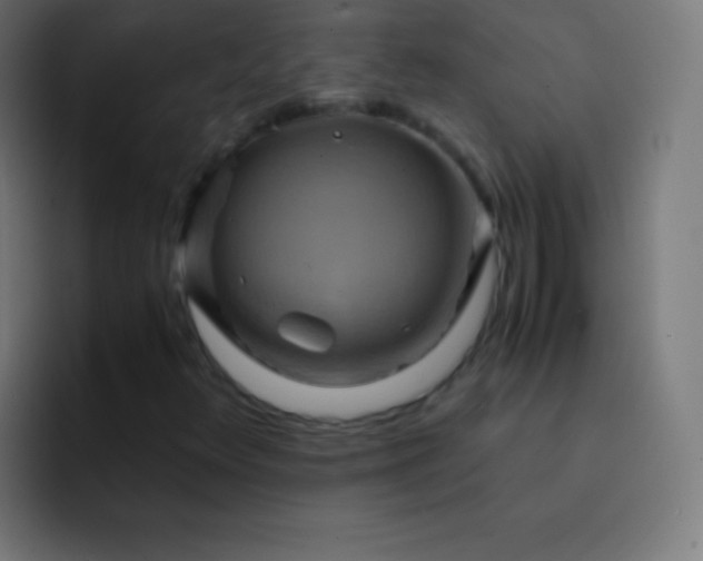 X0000093241348200710101414