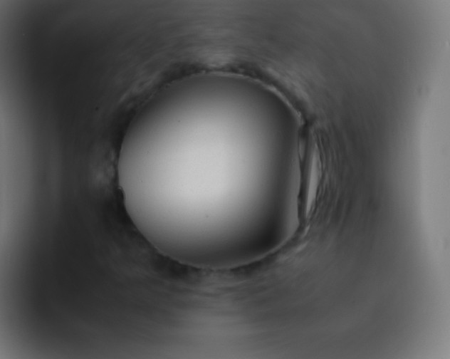 X0000093241349200710101414