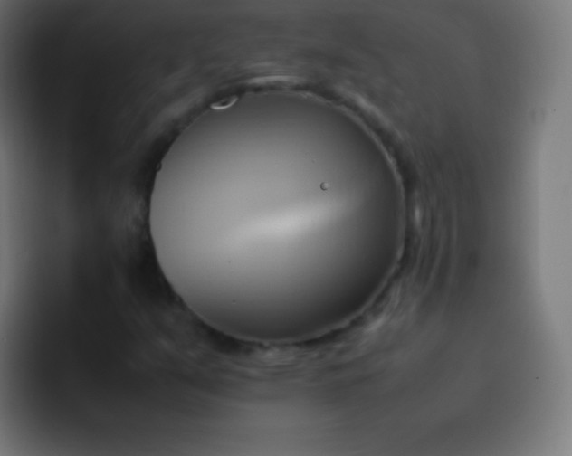X0000093241351200710101414