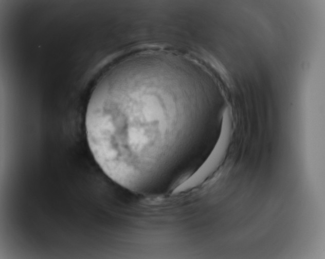 X0000093241352200710101414