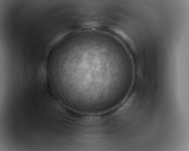 X0000093241354200710101414