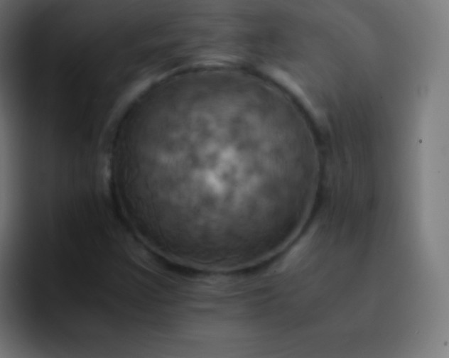 X0000093241355200710101414