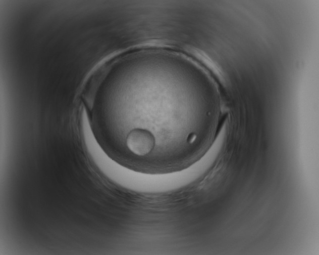 X0000093241356200710101414