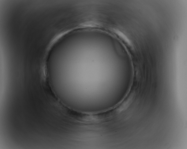 X0000093241358200710101414