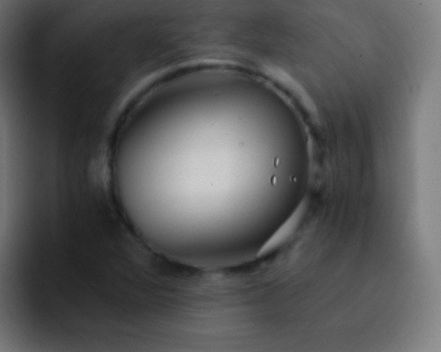 X0000093241360200710101414